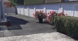 Czinger Vendégszobák