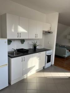 Modern flat with mountain view in city centre