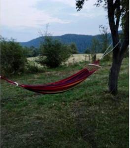 apartman Pavle i Dora Tara