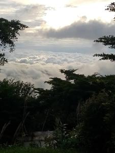 ฟ้ากำหนด ภูทับเบิก