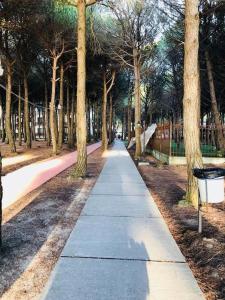 Pine tree app 150m by beach!