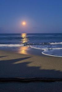 Maisons de vacances Residence LO MONACO Haut de villa, Appartements et Studios : photos des chambres