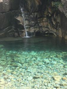 Maisons de vacances Residence LO MONACO Haut de villa, Appartements et Studios : Maison 1 Chambre