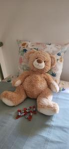 Maisons de vacances LesOyats33 - Maisonnette avec acces Piscine : photos des chambres