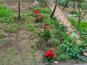 KARPUZKALDlRAN KARŞlSl MÜSTAKiL GİRiŞLİ BAHÇELi