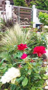 Villa Marina, apartment Hara, Rodos