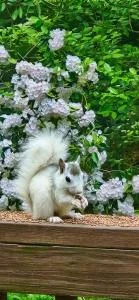 Serenity Home - بريفارد