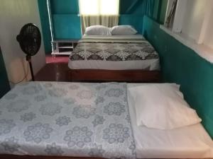 Amazona un pequeño mundo de corcobado serca del oceano