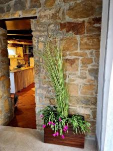 Casa Villanova ROMANCE