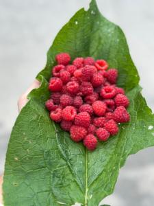 Panorama guesthouse Mata C.