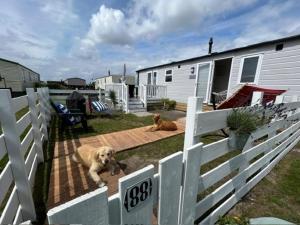 Nr 88 Neues, ruhiges hundefreundliches Ferienhaus direkt am Wattenmeer, komplett eingezäunt