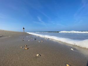 Nr 88 Neues, ruhiges hundefreundliches Ferienhaus direkt am Wattenmeer, komplett eingezäunt