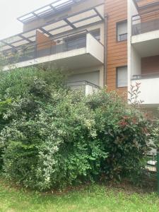 Appartements Residence Five luxe wi-fi : photos des chambres