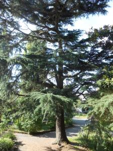 Clos du Bois Brard B&B