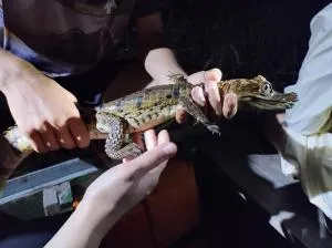 2 dias e 1 noite no Curupira Amazon lodge - Iranduba