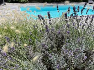 Maisons de vacances Villa landaise de charme avec piscine chauffee : Maison 4 Chambres