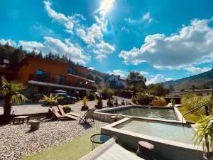 Apartamenty i Las - برينا