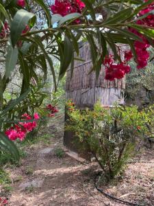Cortijo alhijra big yourte