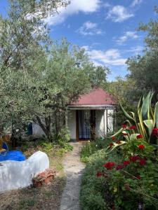 Cortijo alhijra big yourte