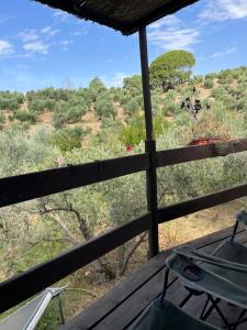 Cortijo alhijra big yourte