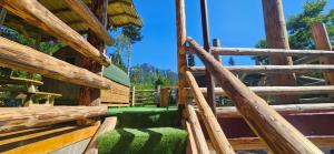 Cabana dintre Salcami