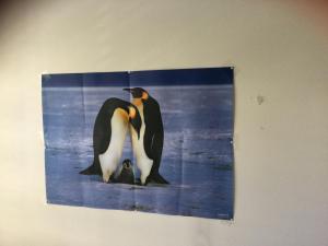 Chambre spacieuse et confortable avec écran plat