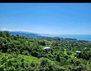 Sweet house natrisi - Khala