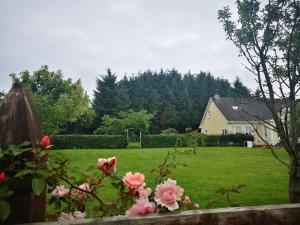 Country home in coolkenno, near Tullow & Shillelagh Wicklow