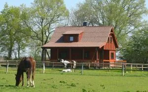 Cottage - Immenstedt