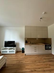 Krumlovský Vltavín