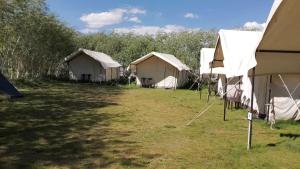 Padmaling guest house zanskar eco camp
