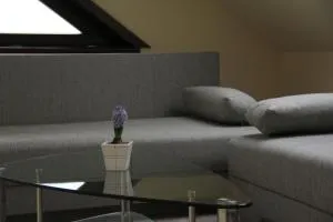 Penzión Daniel - Dvor Chrastková