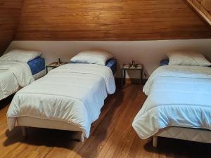 Maisons de vacances Maison 13 pers a 10mn de Luchon : photos des chambres