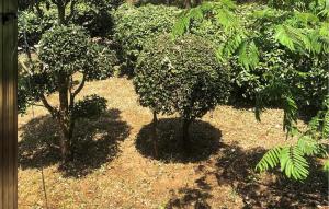 Nice Home In La Tranche-Sur-Mer