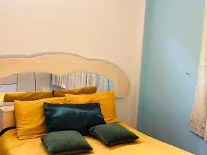 Favorite Preferred Macaw - Alto Peru