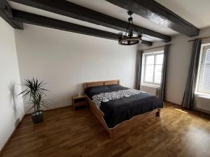 Rezidence u Vaňkovky - 4hvězdičkové hotely ve městě Brno