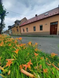 Kis Rigó vendégház - 绍尔戈陶尔扬