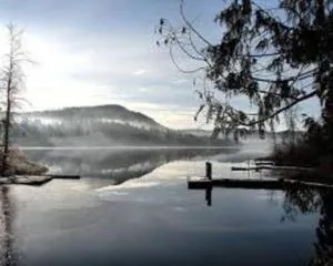 Executive 1 Bedroom Lakeview Retreat - Cobble Hill