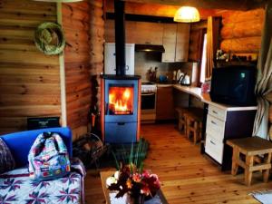Cozy cabin by the lake in ecological farm Kemešys