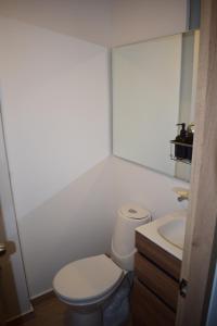 Apartaestudio Pascal Centro Historico Bogota