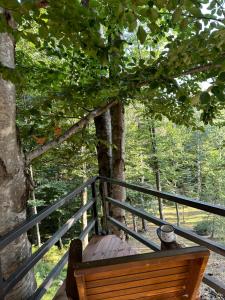 Forest House Divcibare