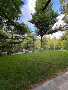 Forest House Divcibare