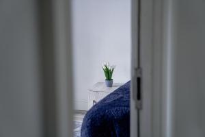 Hiltop 2Bed Apartment, Near City Centre, Sleeps 4 with Parking