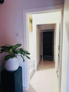 Ubalozi Luxury Villa 75 TV by US Embassy