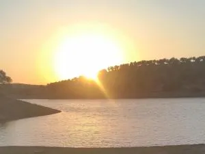 Nova Quinta Moderna TORRAMO em Oliveiras, Campo de Laranjas, na Nacional 2, Alentejo 13750 m2 - 阿尔维图