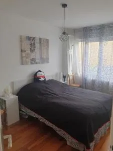 Petite maison individuelle à 30min de Paris - Сент-Женевьев-де-Буа