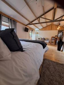 SOH Simple Accommodation