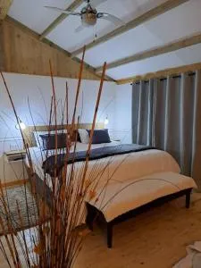 SOH Simple Accommodation - Kloof