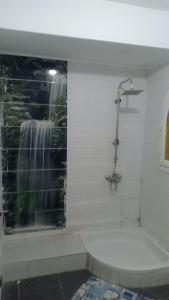 شقه فاخره بشيخ زايد خلف مجمع اركان