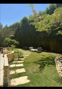 شقه فاخره بشيخ زايد خلف مجمع اركان